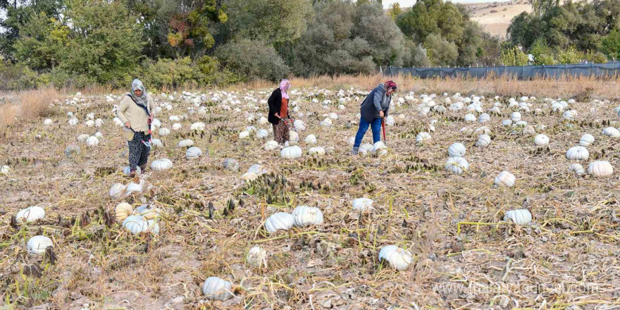 Üretici kadınlar hem mutlu hem gururlu