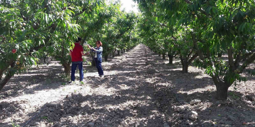 Üreticiler uyarıldı: “Siyah torbalarda imha edin”