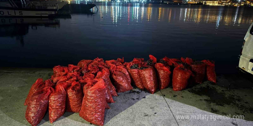 Üsküdar’da 2 ton kaçak midye ele geçirildi