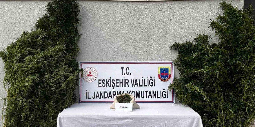 Uyuşturucu imal edip ticaretini yaptığı belirlenen şüpheli yakalandı