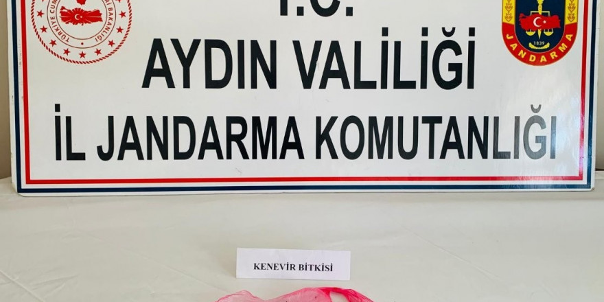 Uyuşturucu kullanan 7 kişi yakalandı