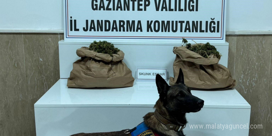 Uyuşturucu tacirine jandarma baskını