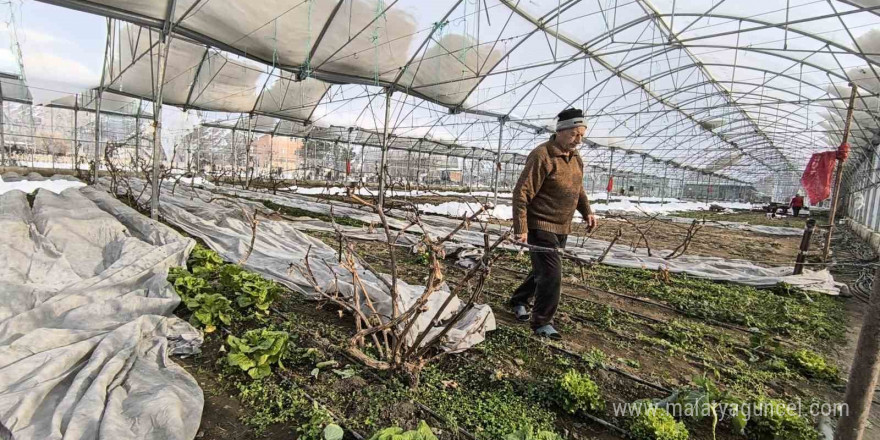 Uzundere’de kar yağışı seralara zarar verdi