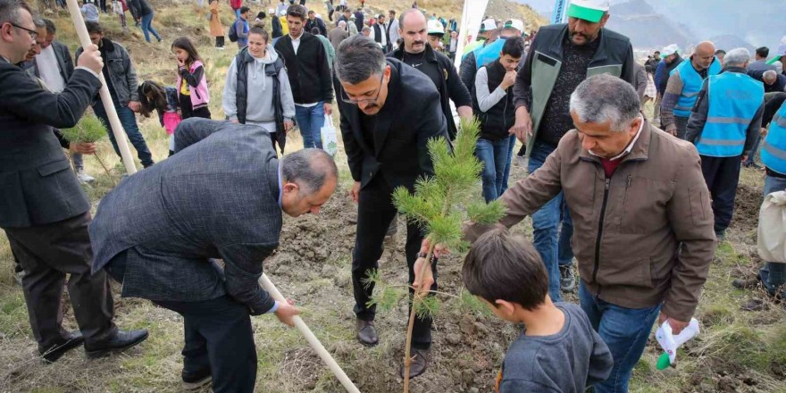 Vali Ali Çelik: 'Ağaçlar; yağmura ve iyiliğe karşı açılmış bir dua'