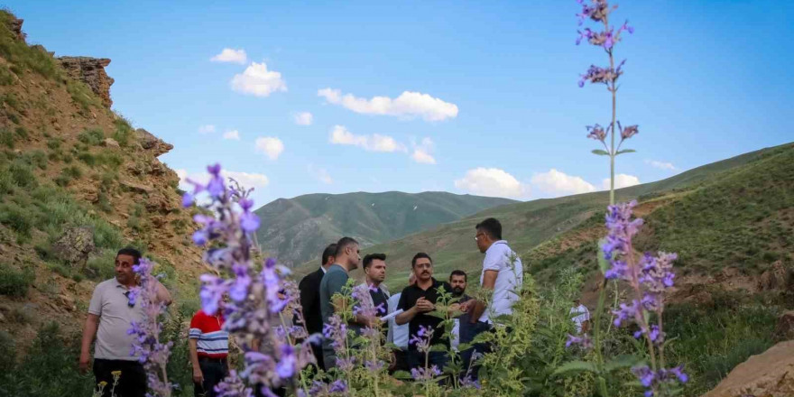 Vali Ali Çelik, Hakkari dağlarında su kaynağı aradı