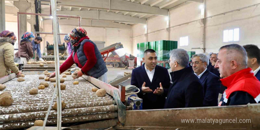 Vali Cahit Çelik, patates depolama ve paketleme alanında incelemelerde bulundu