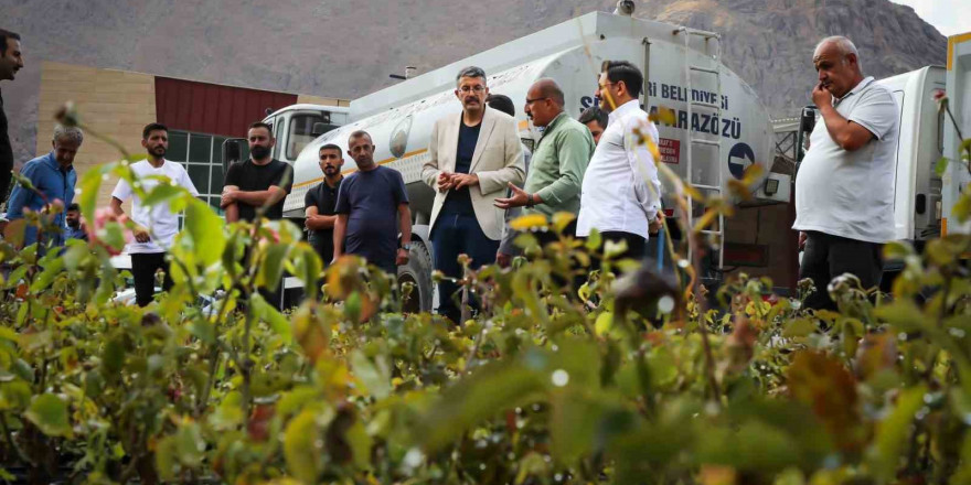 Vali Çelik: 'Daha yeşil ve daha güzel Hakkari için çalışıyoruz'