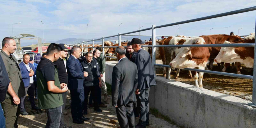 Vali Çiçek, Ardahan hayvan pazarında incelemelerde bulundu