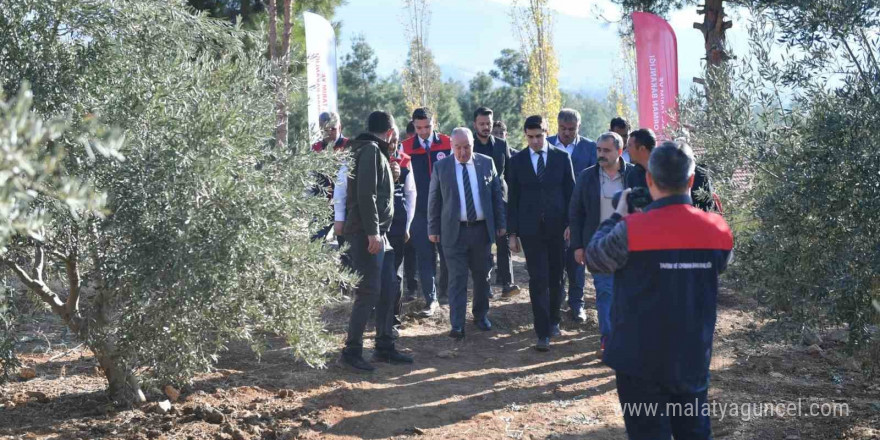 Vali Coşkun, Beyağaç’ta zeytin hasadına katıldı