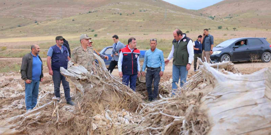 Vali Eldivan dolunun zarar verdiği ekili alanlarda incelemelerde bulundu