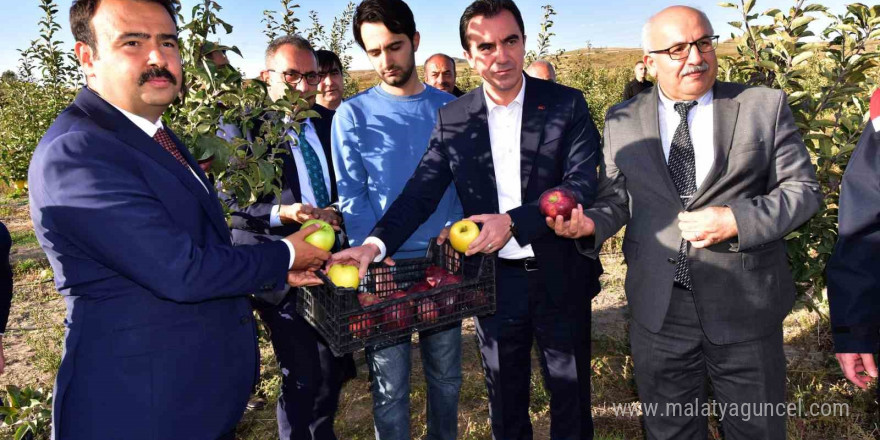 Vali Karakaya, Ahlat’ta elma bahçesini gezdi