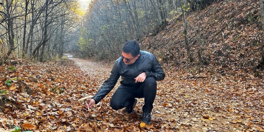 Vali Tekbıyıkoğlu, sonbahar güzelliğine bürünen Salördek’i ziyaret etti