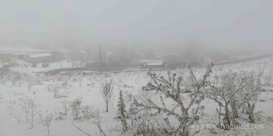 Van buz kesti; ağaçlar ve bitkiler kırağı tuttu