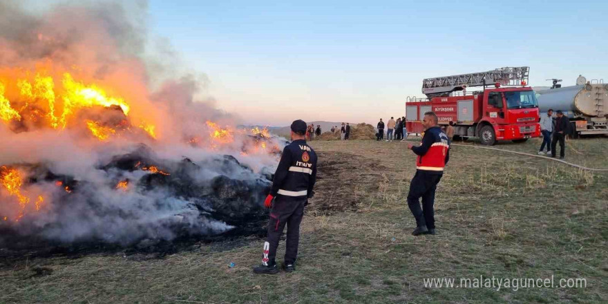 Van’da 9 bin bağ ot yandı