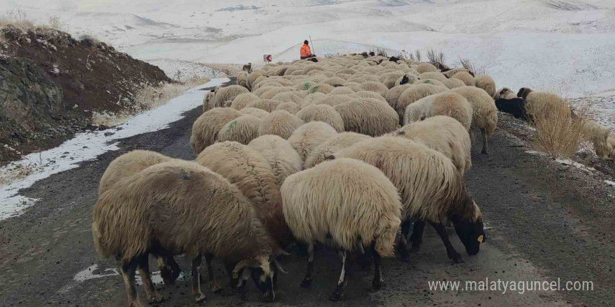 Van’da besicilerin kış mesaisi sürüyor