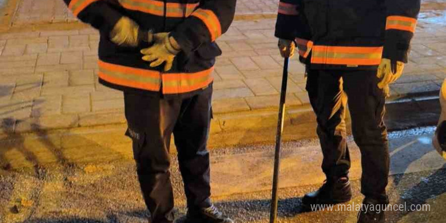 Van’da otomobilin çarptığı köpek tampona sıkıştı