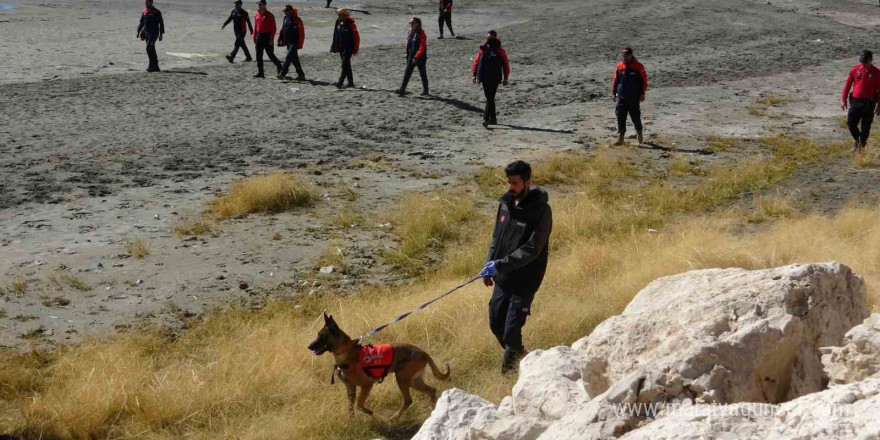 Van’da Rojin dört bir koldan aranıyor