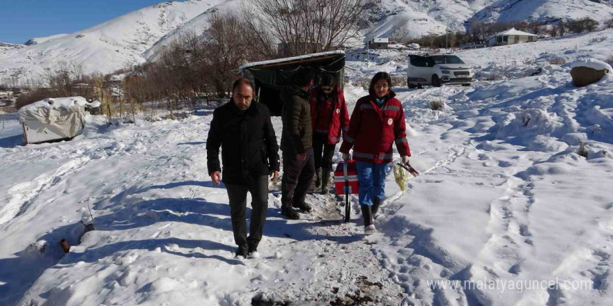 Van’da zorlu kış şartlarına rağmen aşı ve küpe çalışmaları sürüyor