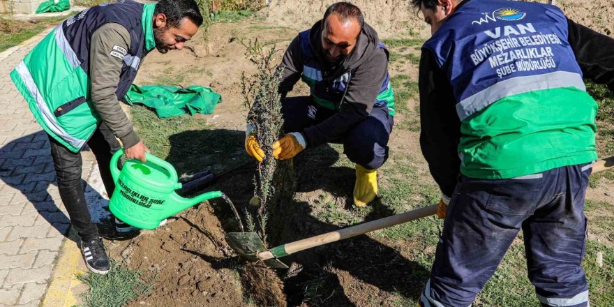 Van’daki 13 mezarlık alanına 3 bin 400 ağacın dikimine başlandı