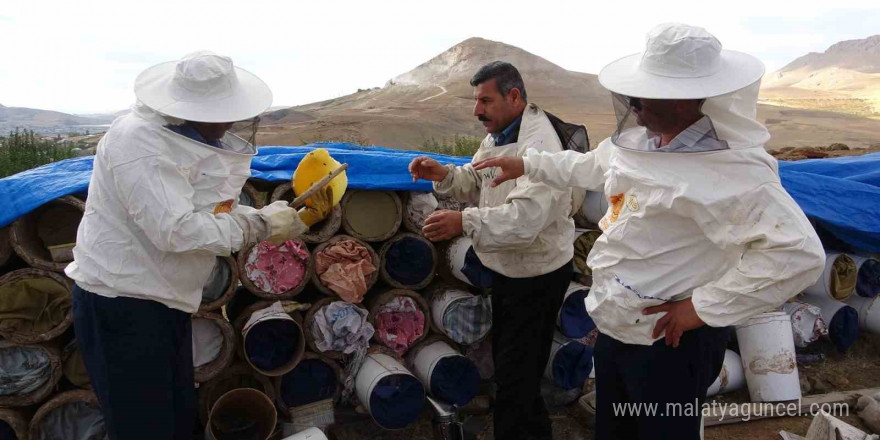 Vanlı arıcılar son yılların en verimli sezonunu yaşadı