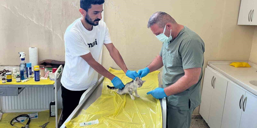 Veteriner ekibinden can dostlar için yoğun mesai