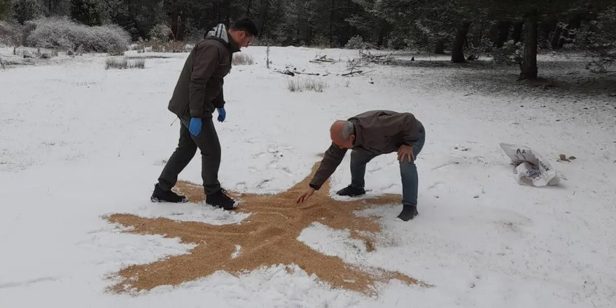 Yaban hayatı unutulmadı