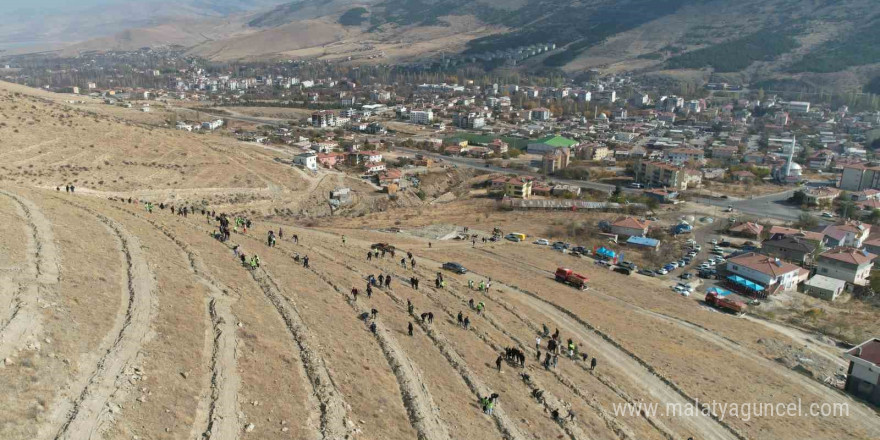 Yahyalı’da binlerce fidan toprakla buluştu