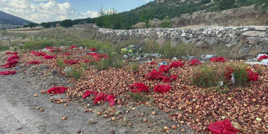 Yaklaşık 2 ton kuru soğanı boş araziye döküp gittiler