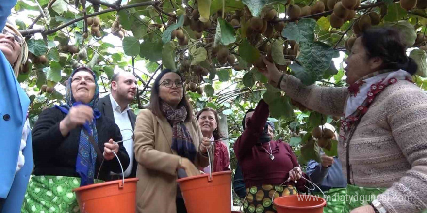 Yalova Kivisi Hasat Şenliği renkli görüntülere sahne oldu