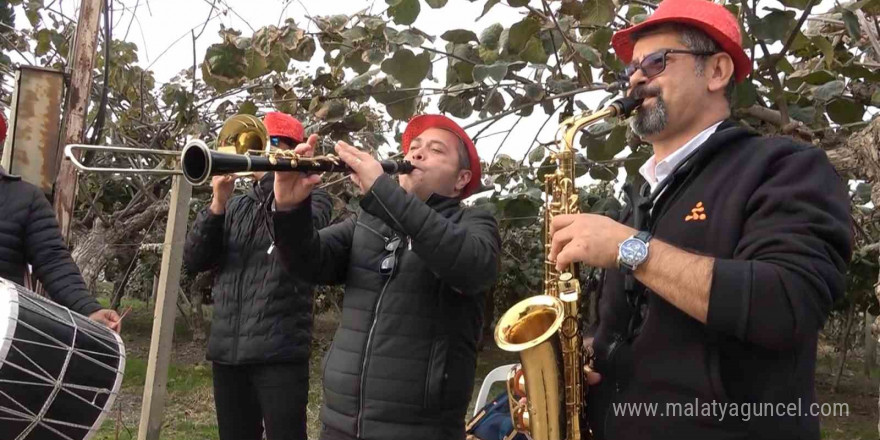 Yalova Kivisi Hasat Şenliği renkli görüntülere sahne oldu