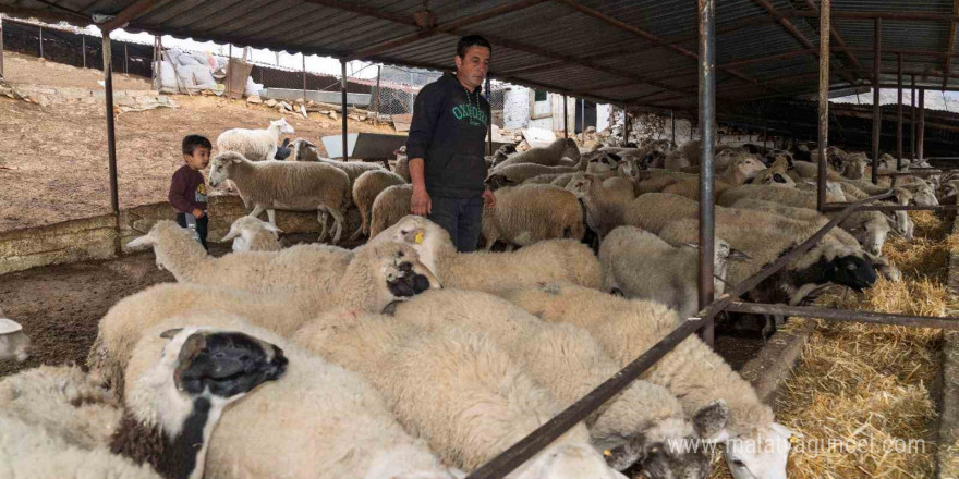 Yangın mağduru çiftçilere 225 ton yem desteği