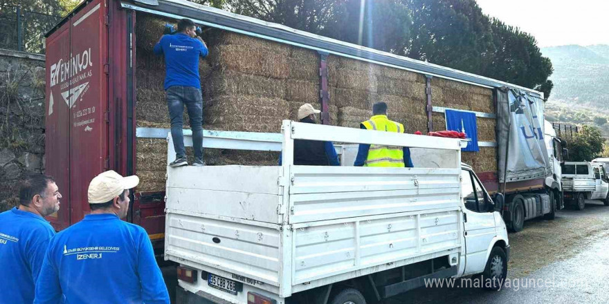 Yangın mağduru çiftçilere 225 ton yem desteği