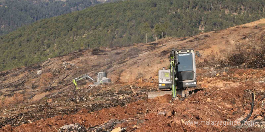 Yangında küle dönen Ilgaz Dağı yeniden yeşillenecek