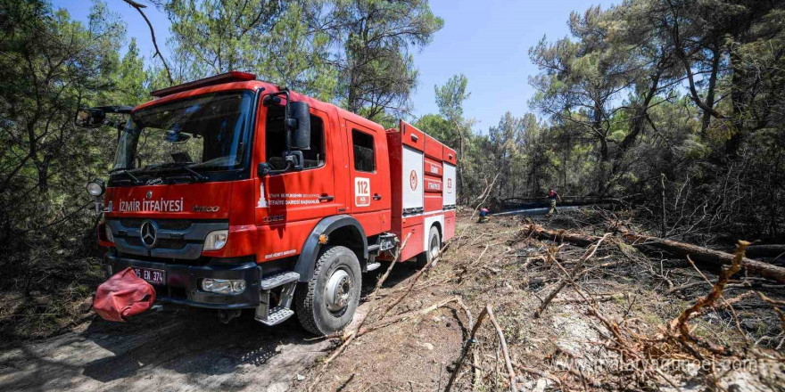 Yangınların bir yıllık ağır bilançosu