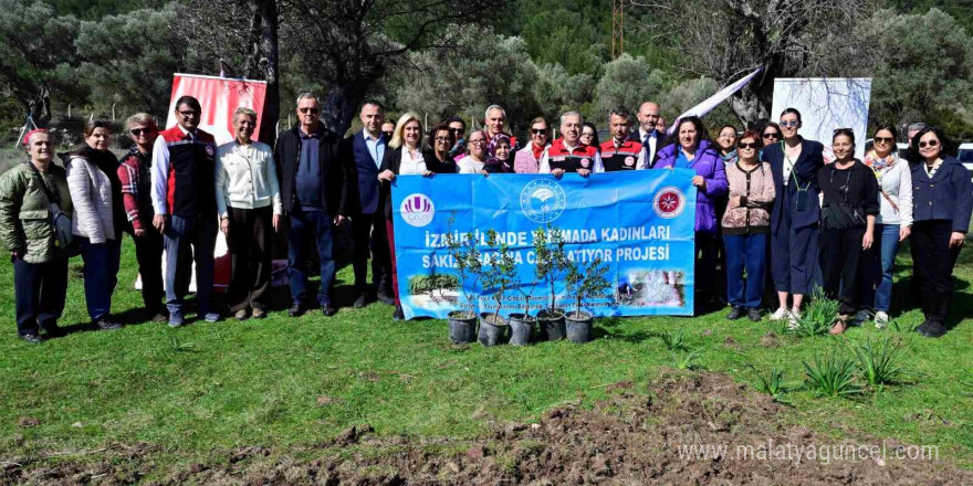 Yarımada kadınları sakız ağacına can katıyor