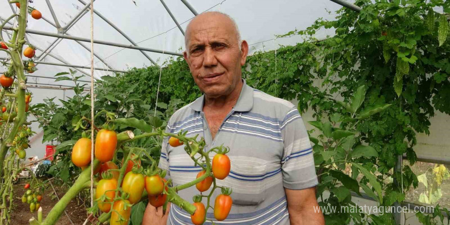 Yavuzkemal Beldesinden örnek tarım projesi