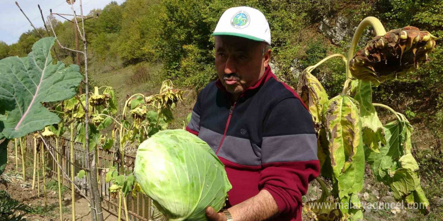 Yavuzkemal Beldesinden örnek tarım projesi