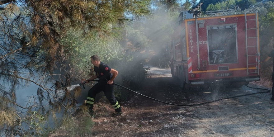 Yayladağı’nda örtü yangını