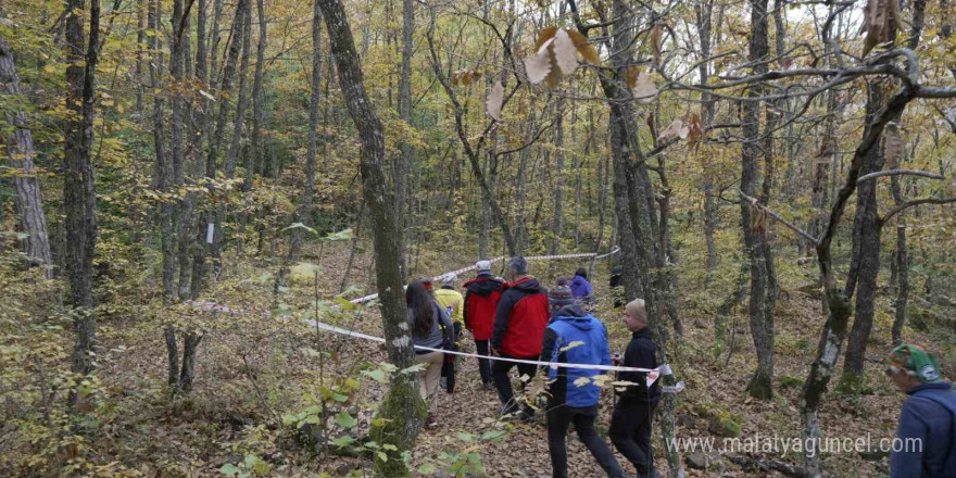 Yenice ormanlarında tepki çeken çevre kirliliği