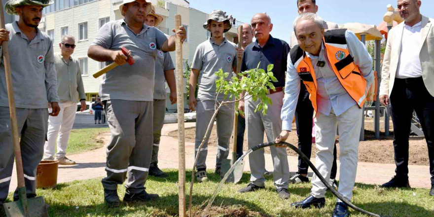 Yenilenen parka ilk ağaç fidanı Kocagöz’den