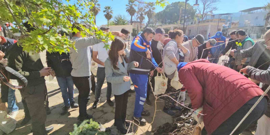 Yenipazar’da 2 bin 500 fidan dağıtıldı