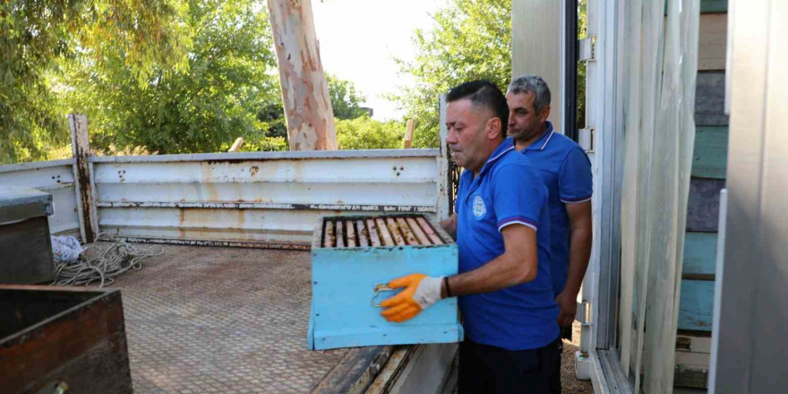 Yerel yönetimler arasında bir ilk: Temiz Petek Projesi