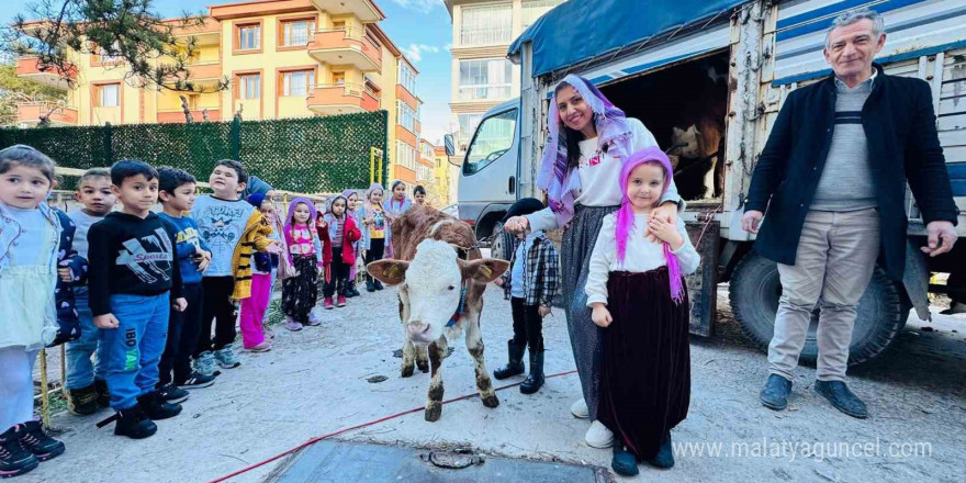 Yerli Haftası’nı okula getirdikleri ‘inekle’ kutladılar