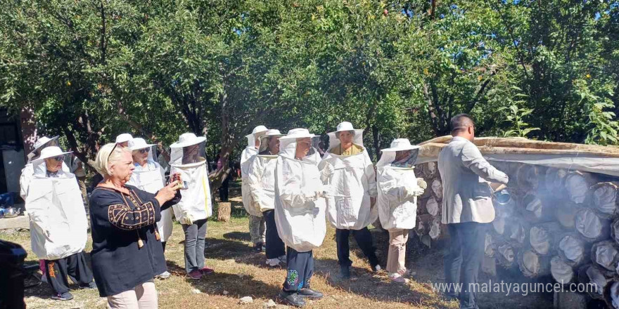 Yerli turistler Van’da bal hasadı yaptı