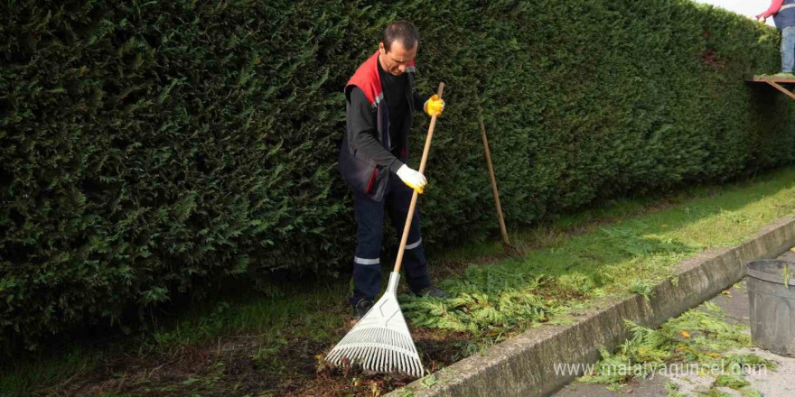 Yeşil alanlarda düzenleme sürüyor