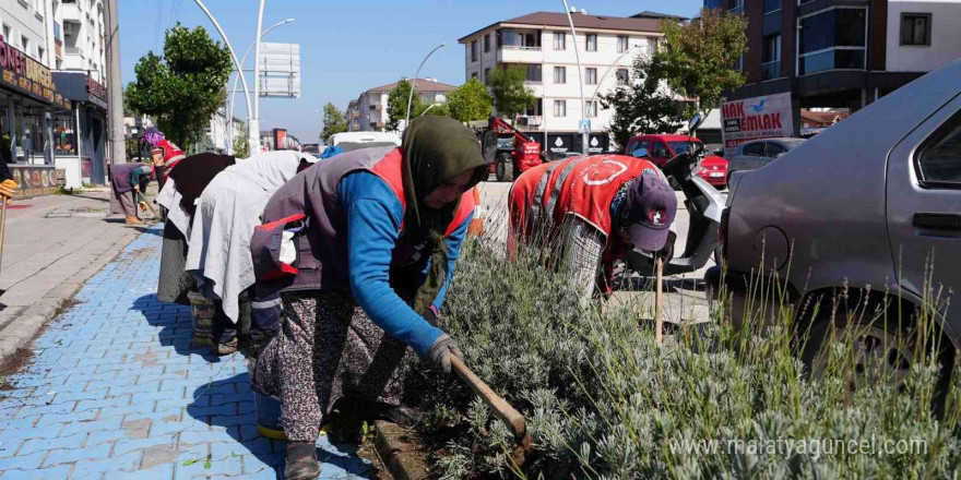 Yeşil dokuya özel ilgi