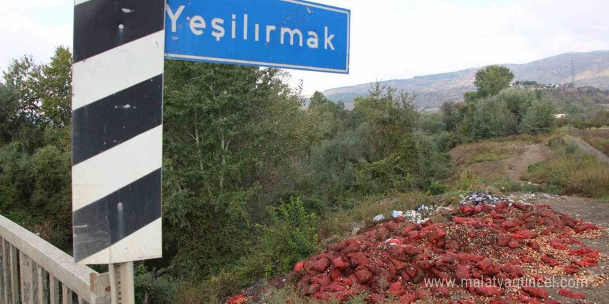 Yeşilırmak Nehri’nin kıyısına çuvallar dolusu soğan ve patlıcan döküldü