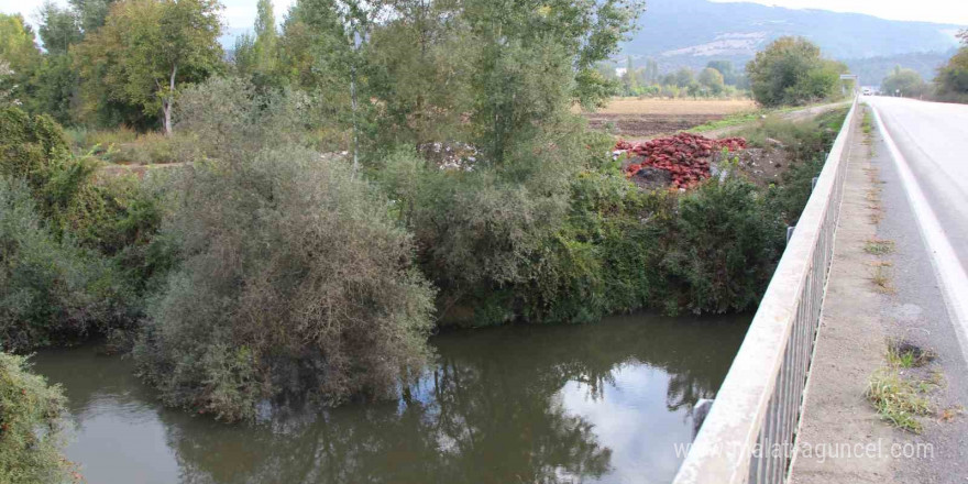 Yeşilırmak Nehri’nin kıyısına çuvallar dolusu soğan ve patlıcan döküldü