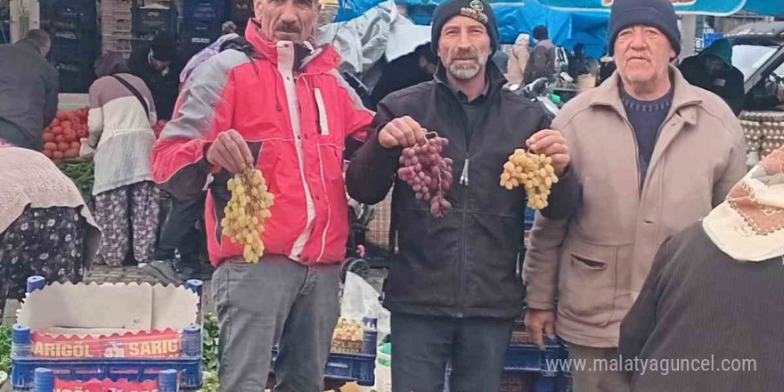 Yılbaşı sofralarının taze üzümü Sarıgöl’den