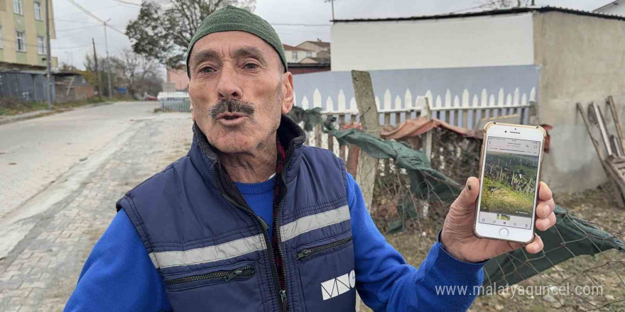 Yılbaşı yaklaşırken, hindi hırsızları kümeslere dadandı